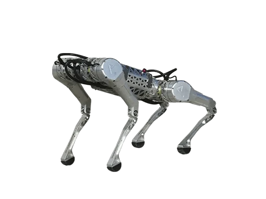 Akınrobotics DijitalKobi