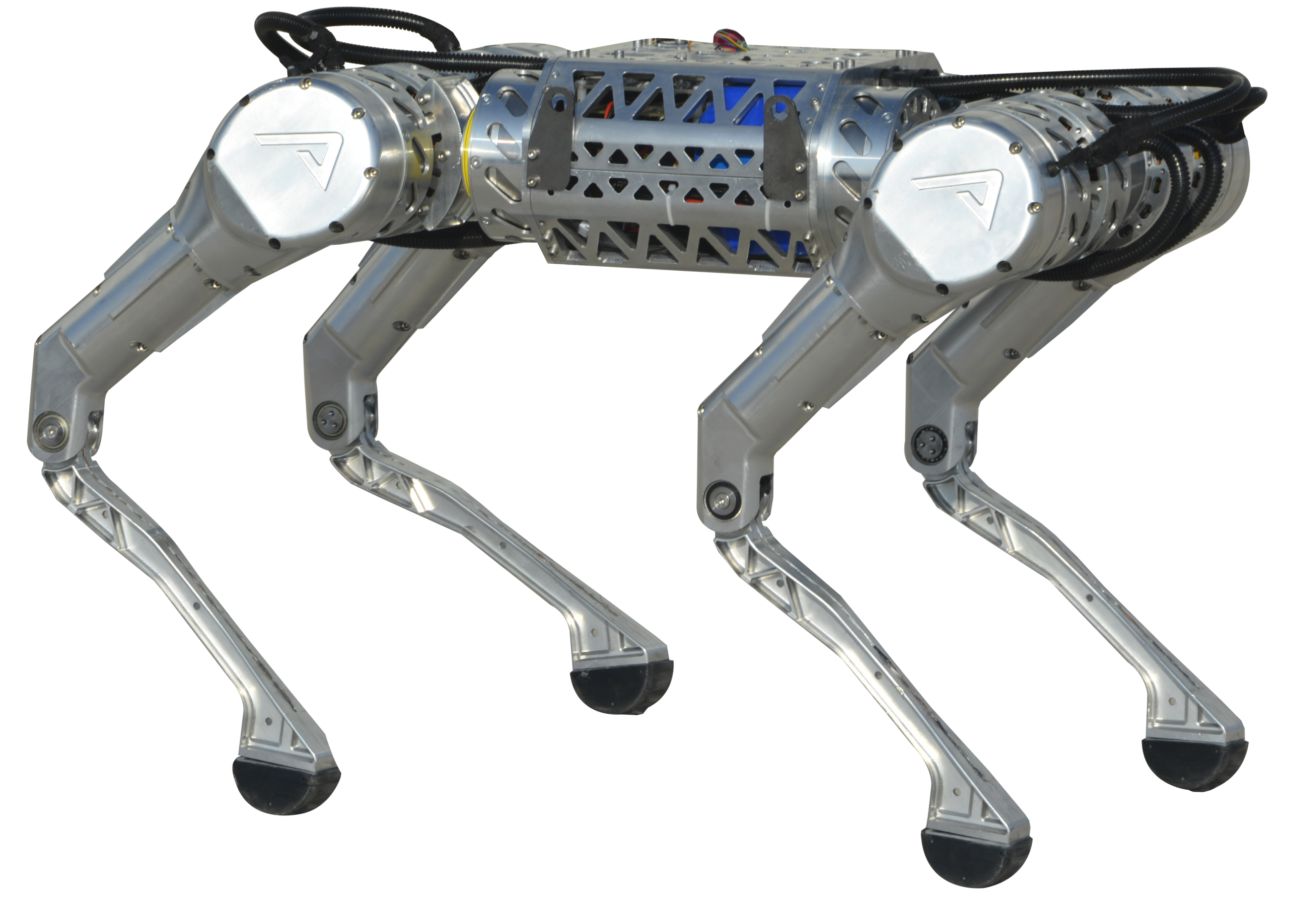 Akınrobotics DijitalKobi